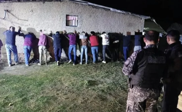 Veinte detenidos por participar de una riña de gallos